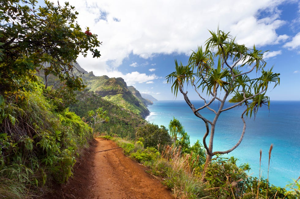 Is Kauai, Hawaii Safe for Tourists? - What to Know About Traveling to ...