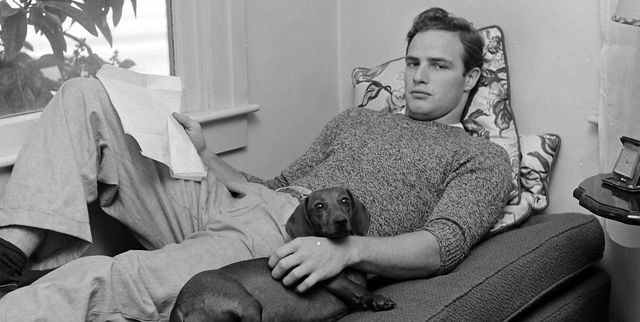 portrait of american actor marlon brando 1924   2004 as he reclines on a bed with a pet dachshund and an open film script while on a visit to his grandmothers house, van nuys, california, october 1949 photo by ed clarkthe life picture collection via getty images