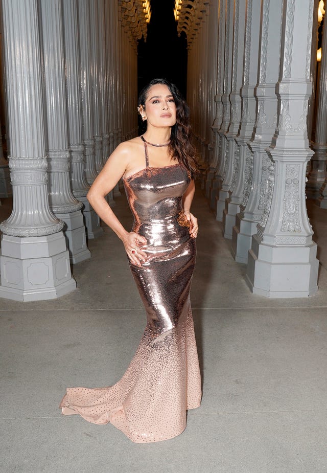 A Glamorous Red Carpet: Celebrity Looks from the 2023 LACMA Gala