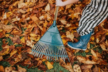 7thingsyoumustcleanthisseptember