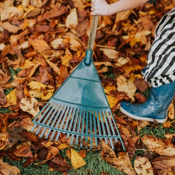 7-things-you-must-clean-this-september 7thingsyoumustcleanthisseptember