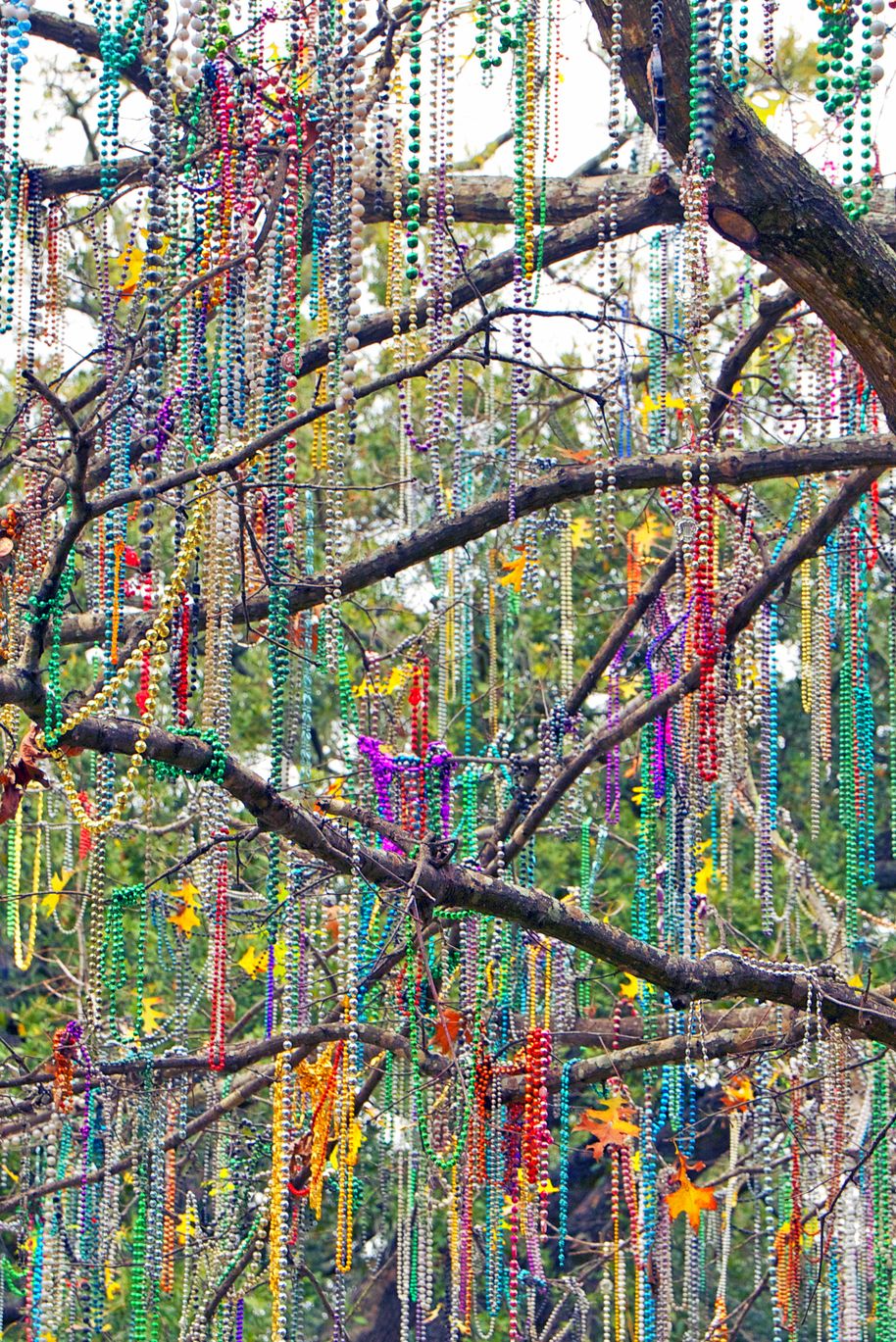 The Mardi Gras Tree