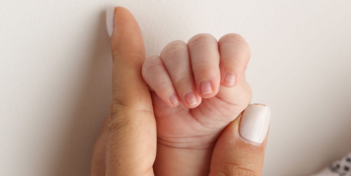 Parents' hands hold the fingers of a newborn baby. The hand of a mother and father close-up holds the fist of a newborn baby. Family health and medical care. Professional photo on white background parents' hands hold the fingers of a newborn baby. the hand of a mother and father close up holds the fist of a newborn baby. family health and medical care. professional photo on white background.