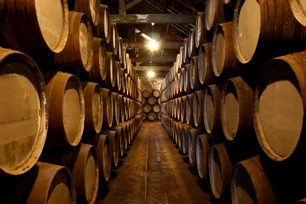 Barrel, Winery, Wine cellar, Wine, Winemaker, Drink, 
