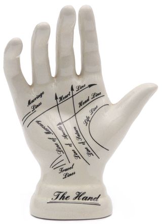 phrenology of palmistry hand on white background