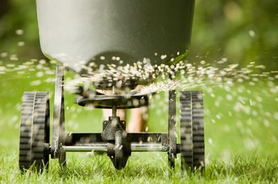 lawn fertilization, lawn, green, grass, mower, lawn mower, water, wheel, automotive wheel system, outdoor power equipment, plant, when to fertilize lawn, grass fertilizer tips