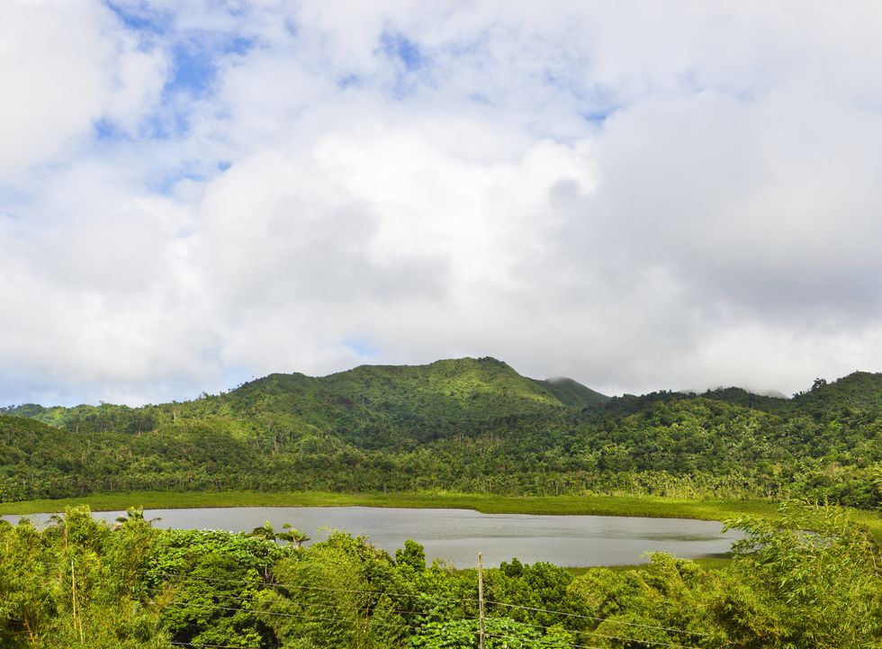 grand etang lake is an extinct volcano of approximately 20 feet deep, located at the center of grenada at 1,800 feet 550 m above sea level it is in the middle of the grand etang national park, a very popular area in grenada, for hiking and trekking but not only the rain forest around the lake includes several waterfalls, hot springs, plantations and a series of trails among breathtaking sceneries grenada wi canon eos 5d mark ii