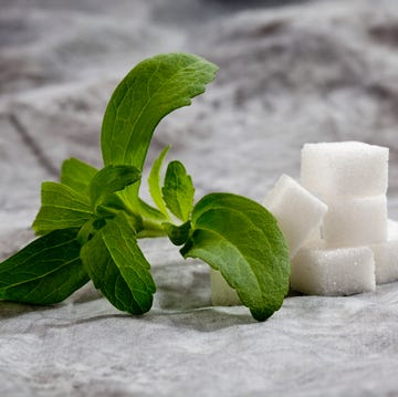 Stevia stevia