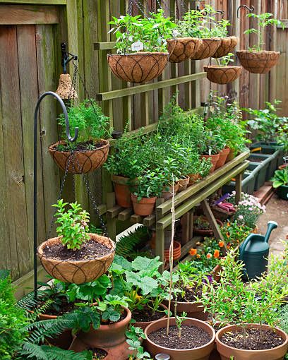 How To Create A Patio Vegetable Garden With Planters & Pots!