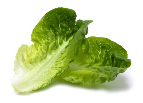 Leaf vegetable, Vegetable, Food, Iceburg lettuce, Lettuce, Leaf, Romaine lettuce, Savoy cabbage, Plant, Cruciferous vegetables, 