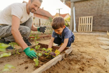 gardening