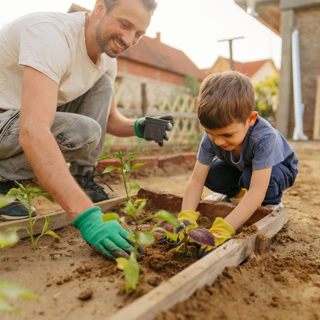 gardening gardening