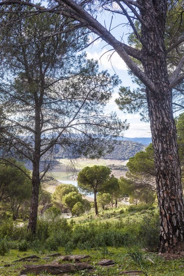 sendero del tajumoso