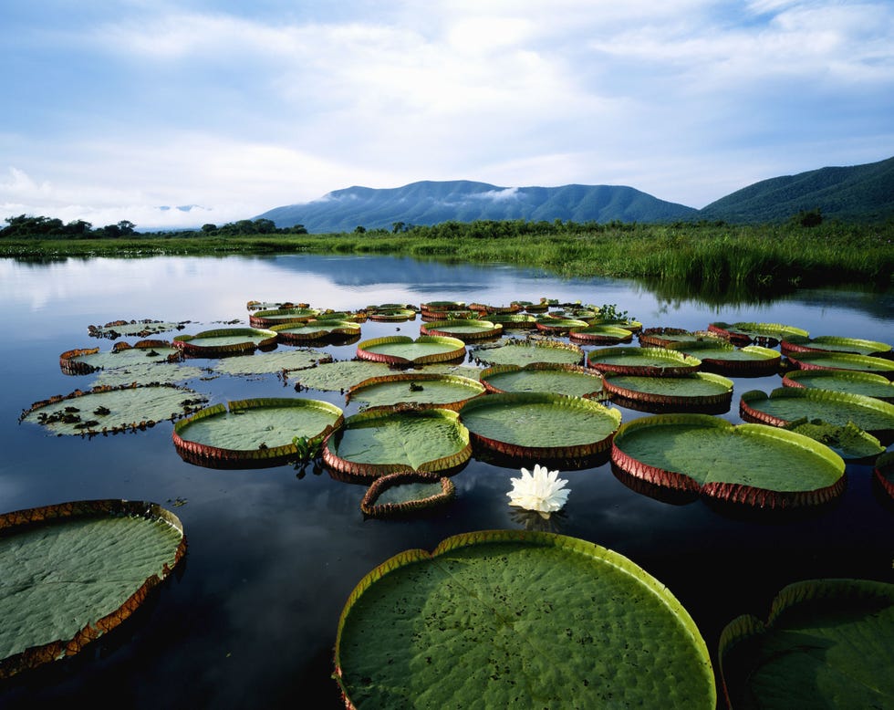 near paraguay river