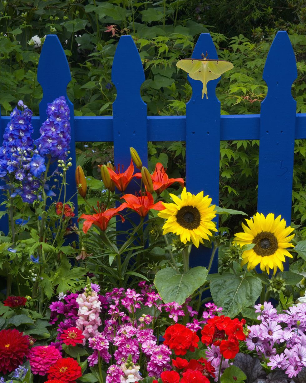 25 Best Flower Bed Ideas | Country Living