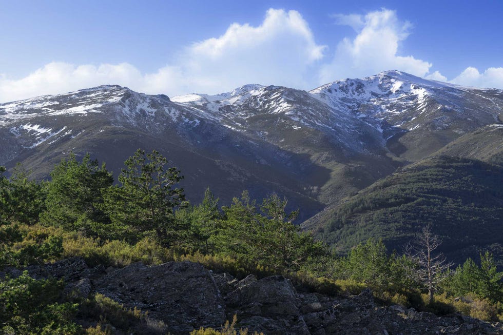 pico del lobo