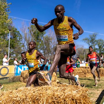 belgrade, serbia march 30 joshua cheptegei of uganda competes in the senior mens final during the world athletics cross country finals championships at the park of friendship on march 30, 2024 in belgrade, serbia photo by maja hitijgetty images