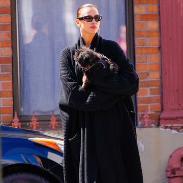 new york, new york april 04 irina shayk is seen with her dog on april 04, 2024 in new york city photo by gothamgc images