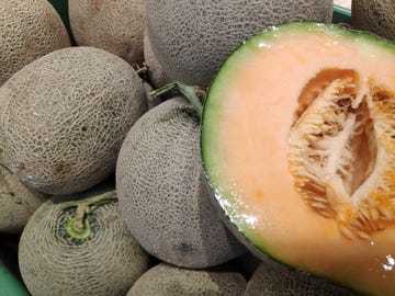 fresh melon fruit pile with sample on the top wrapped with transparent plastic