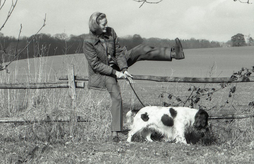 english actor maggie smith out for a country walk with her dog near her home in sussex in 1986