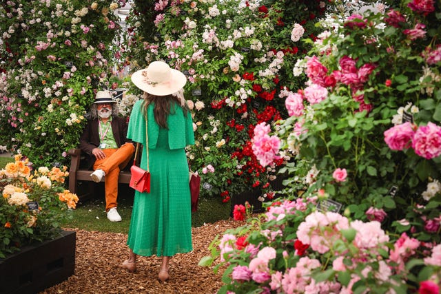 people visit the rnli 200 anniversary flower display during the preview day at the rhs chelsea flower show, in london, on may 20, 2024. early springs, droughts and floods are influencing this year's chelsea flower show, which is keener than ever to reflect the changing climate and cut its carbon footprint. the annual exhibition of horticultural excellence and innovation opens to the public in west london on may 21, 2024, with more than 150,000 visitors expected. (photo by adrian dennis / afp)