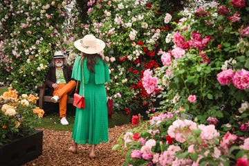 people visit the rnli 200 anniversary flower display during the preview day at the rhs chelsea flower show, in london, on may 20, 2024. early springs, droughts and floods are influencing this year's chelsea flower show, which is keener than ever to reflect the changing climate and cut its carbon footprint. the annual exhibition of horticultural excellence and innovation opens to the public in west london on may 21, 2024, with more than 150,000 visitors expected. (photo by adrian dennis / afp)