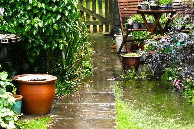 lluvia cayendo en el jardín