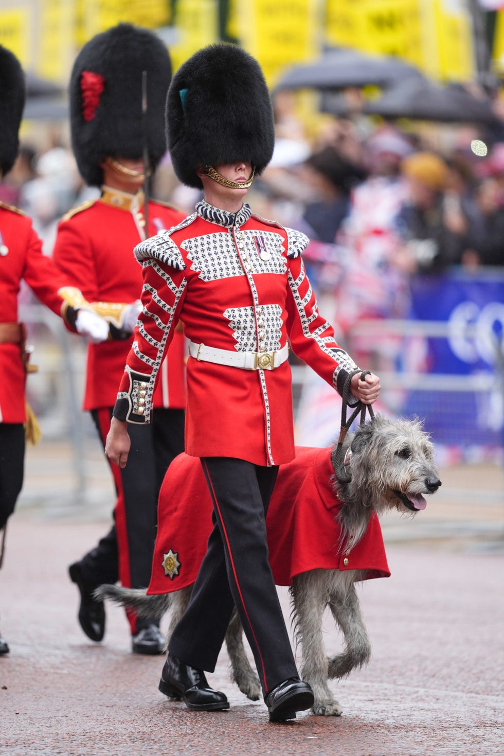 Trooping the Colour 2024 - Figure 12