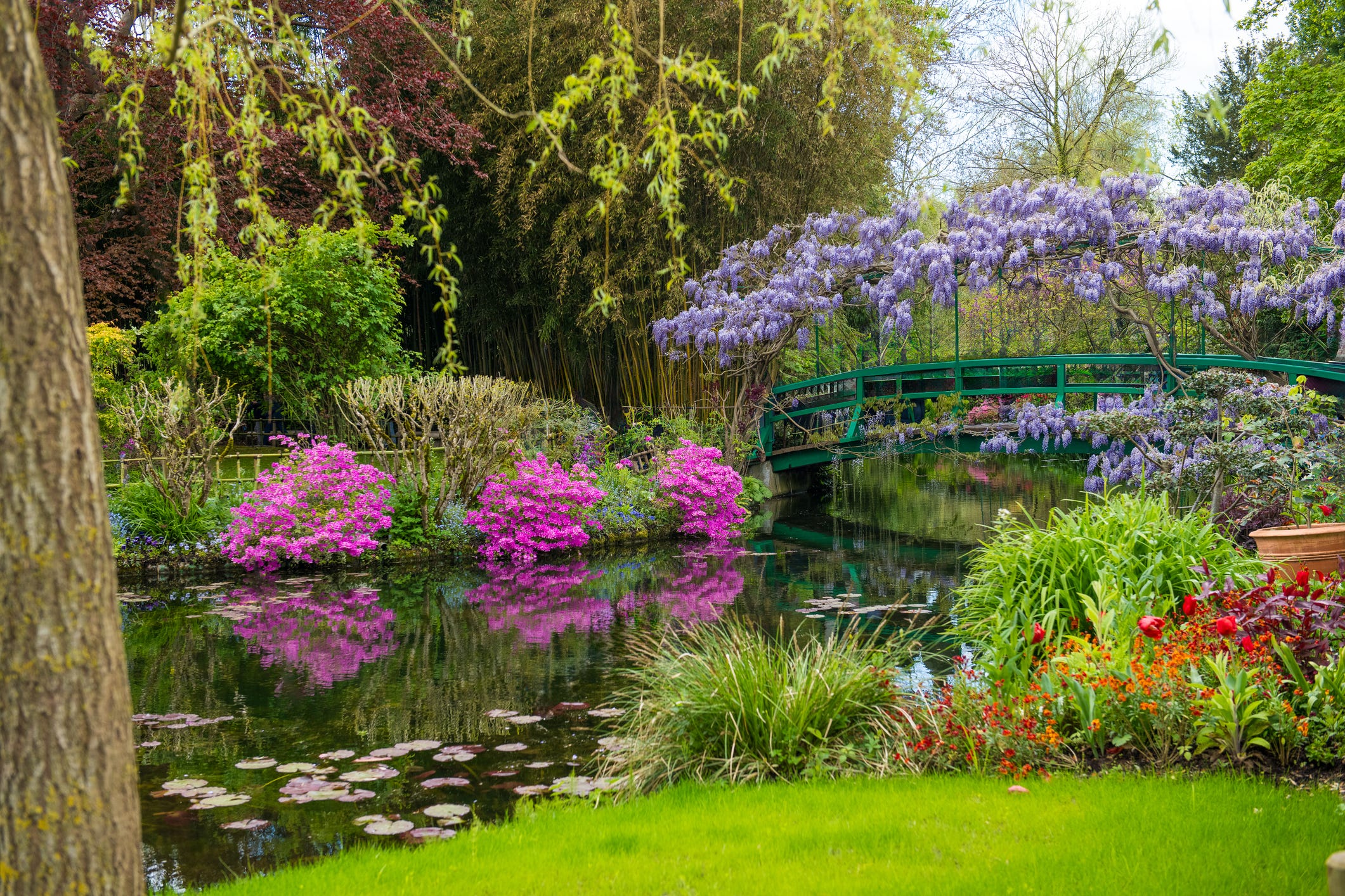 april 19, 2024, paris, france lush and bright flowers of giverny gardens