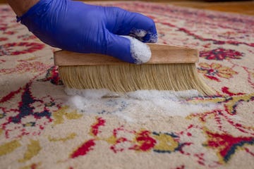carpetcleaningmythsbustedbytheexperts