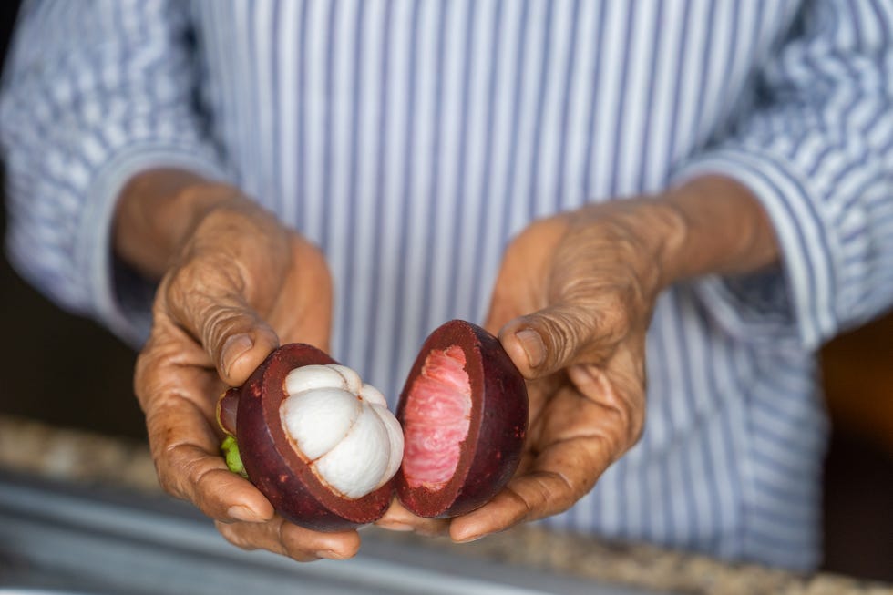 a woman hands holding a mangosteen scored open