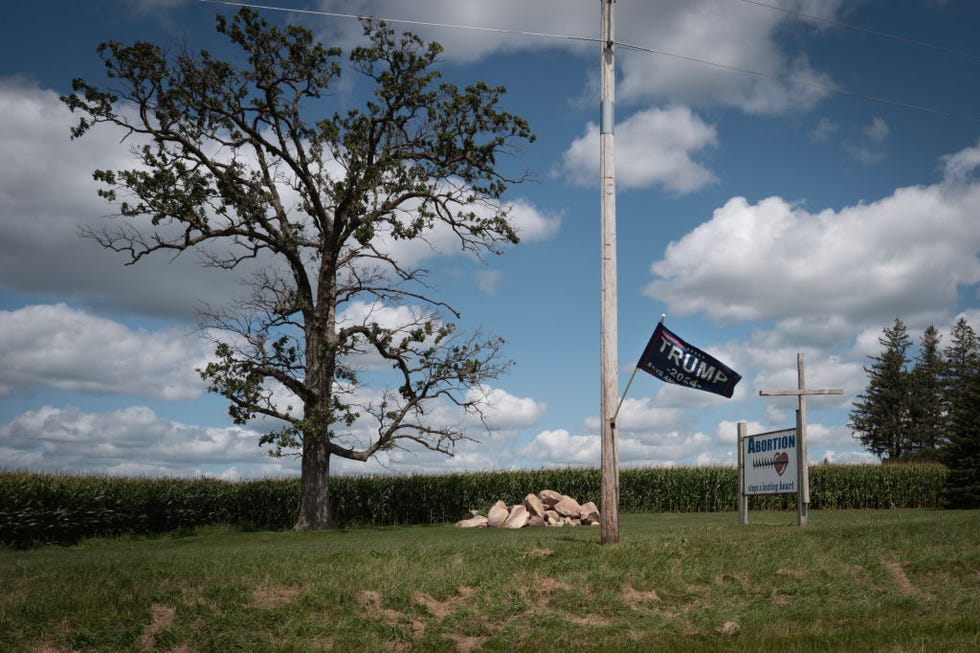 hawkeye, iowa august 10 a farmer shows his support for republican presidential candidate former president donald trump and his view on abortion on august 10, 2024 near hawkeye, iowa trump won iowa by 9 percent in 2016 and 8 percent in 2020 over his democratic rivals photo by scott olsongetty images