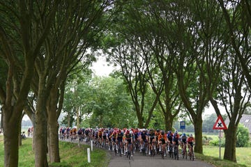 dordrecht, netherlands august 13 a general view of the peloton competing during the 3rd tour de france femmes 2024, stage 2 a 679km stage from dordrecht to rotterdam  uciwwt on august 13, 2024 in dordrecht, netherlands photo by dario belingherigetty images