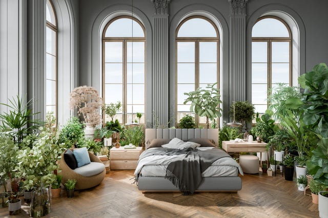 Bedroom Plants