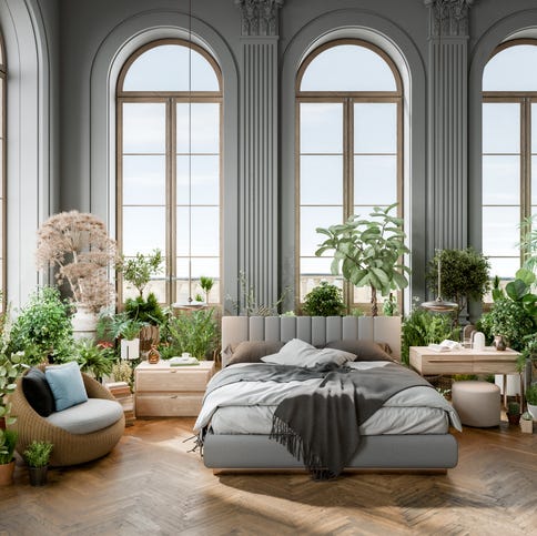 Bedroom Plants () Bedroom Plants