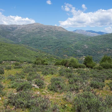 Ruta de la Sierra de Tormantos ruta de la sierra de tormantos