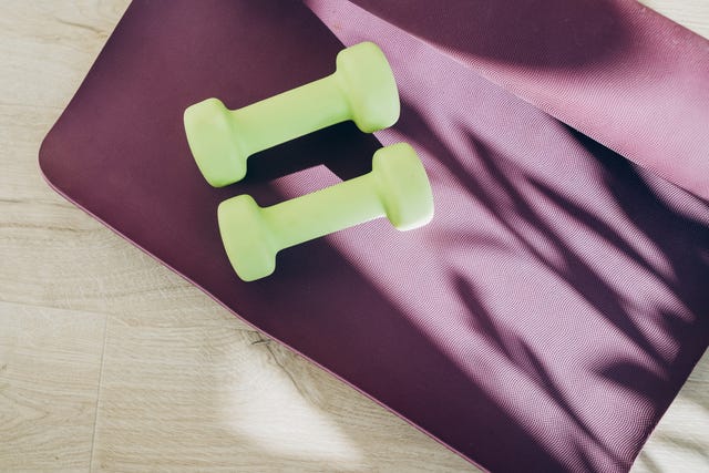 a pair of dumbbells on an exercise mat fitness, wellness and home work out concept