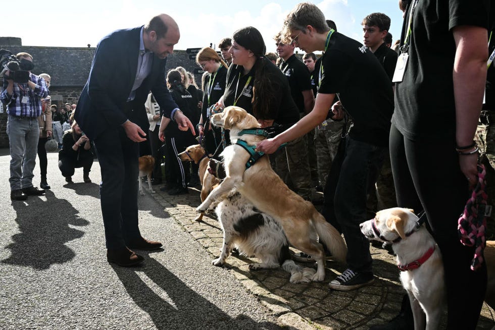 Callington, England, October 17, Prince William, Prince of Wales on October 17, 2024 in Callington, Cornwall, England Photo by Justin Tallis WPA Poolgetty Images