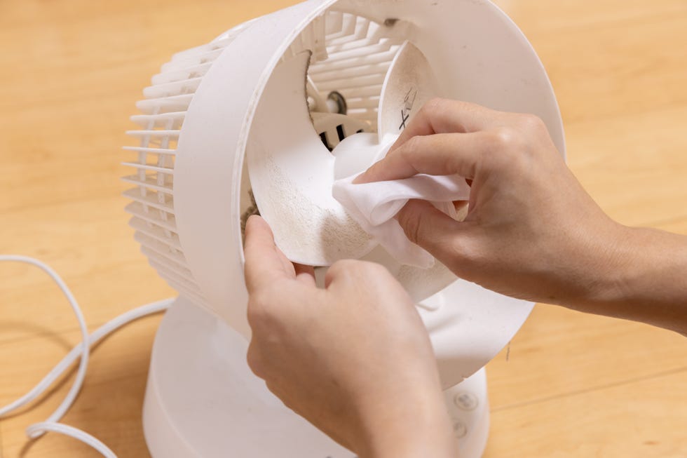clean dust from fan