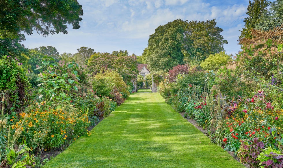 classic herbacious border at pashley manor gardens