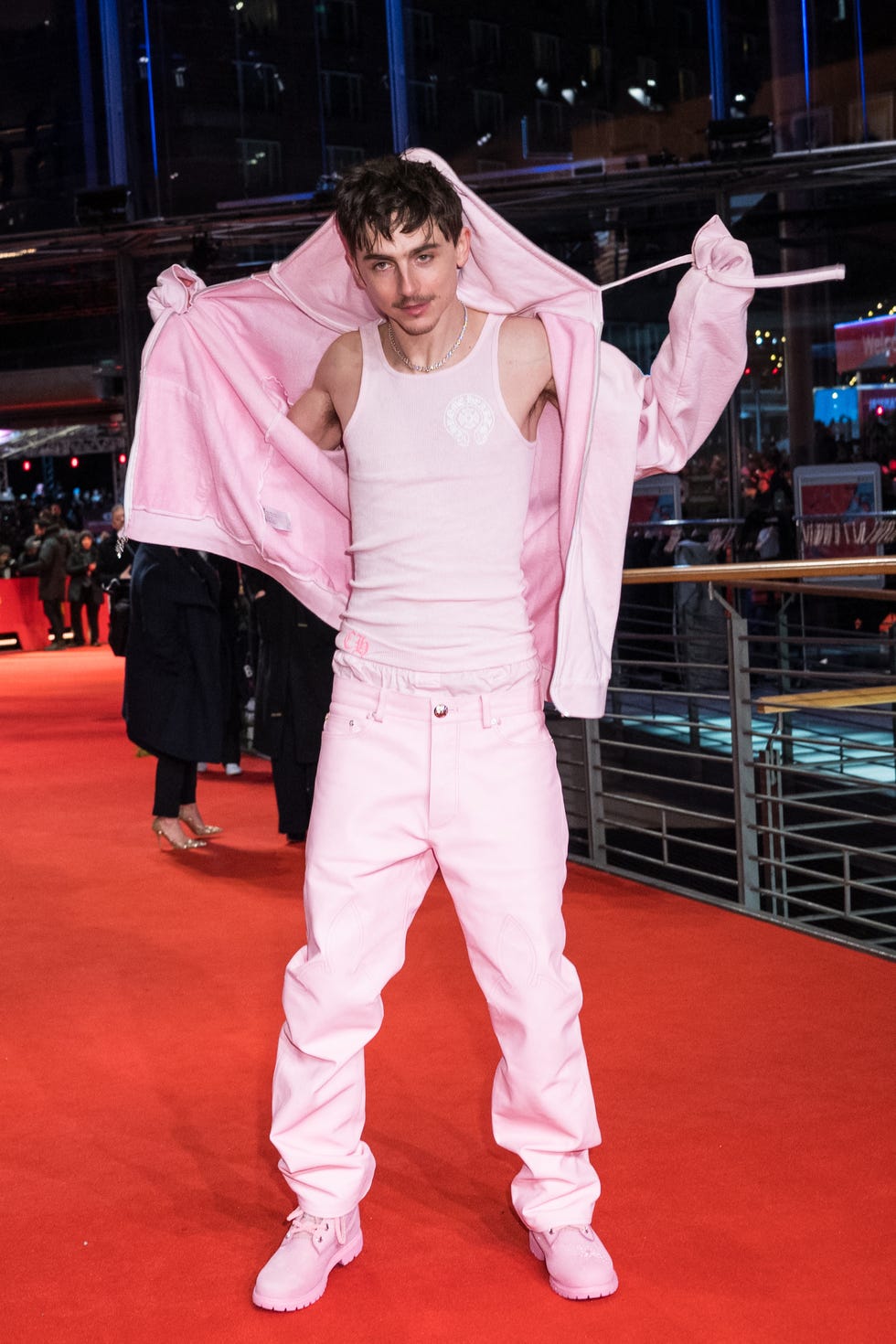 timothee chalamet