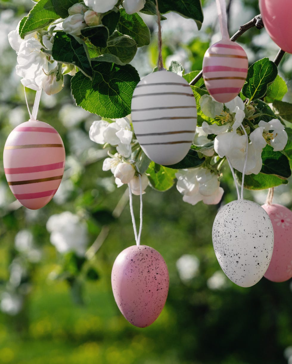 Assorted pastel pink Easter eggs hanging on blossoming apple tree a lot of assorted pastel pink easter eggs hanging on blossoming apple tree in a garden with blue sky. happy easter festive decoration concept with copy space