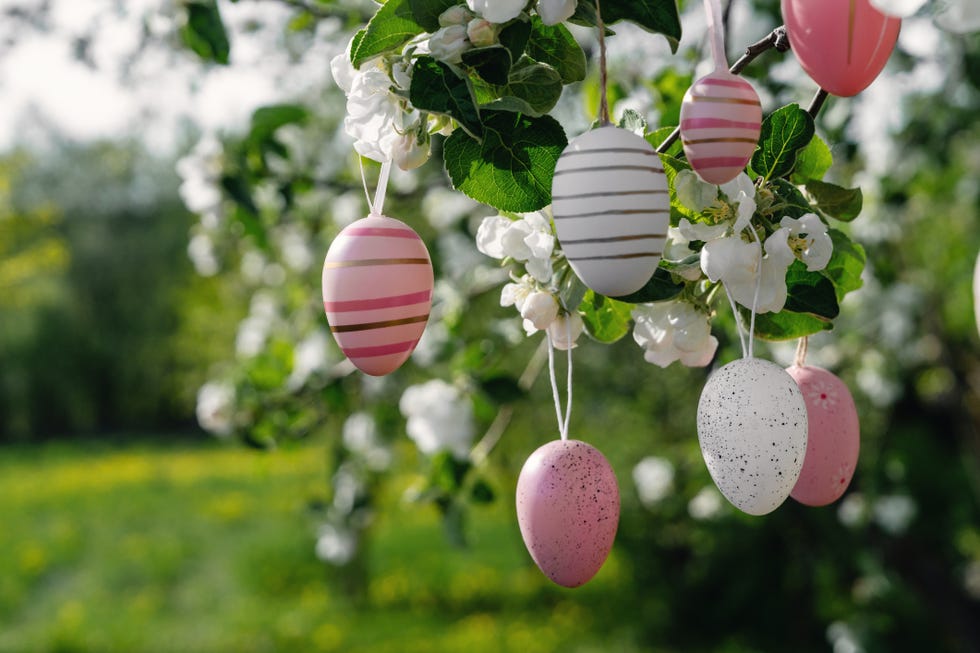 a lot of assorted pastel pink easter eggs hanging on blossoming apple tree in a garden with blue sky. happy easter festive decoration concept with copy space