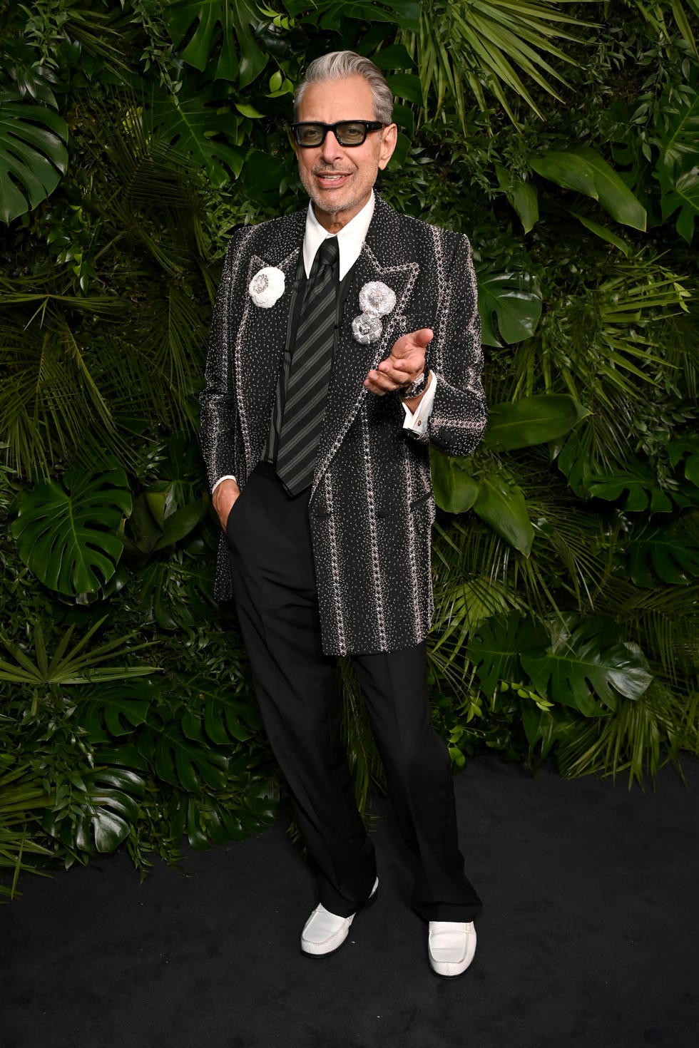 beverly hills, california march 01: jeff goldblum attends the chanel and charles finch annual pre oscar dinner at the polo lounge at the beverly hills hotel on march 01, 2025 in beverly hills, california. (photo by jon kopaloff/wireimage)