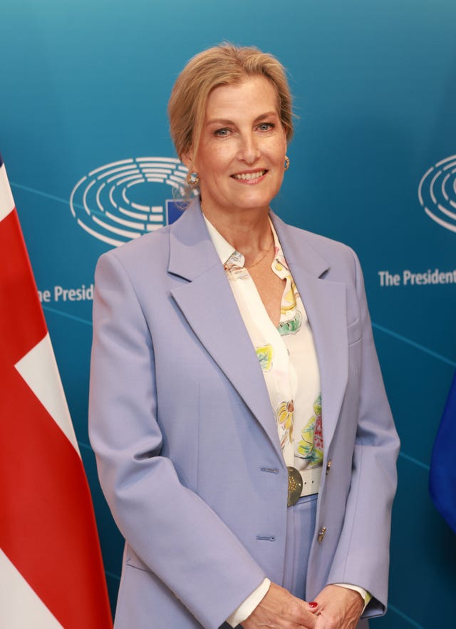 brussels, belgium march 26: sophie, duchess of edinburgh attends a uk government and european parliament intergroup on childrens rights, an event to ensure safety of children is at the top of the international agenda meeting in brussels, belgium. the duchess and jess phillips highlighted urgent need to tackle child sexual exploitation and abuse. (photo by ian vogler pool/getty images)