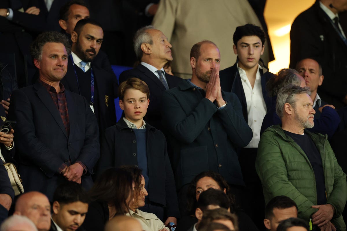 preview for 7 Times Prince William Proved to Be the Best Dad