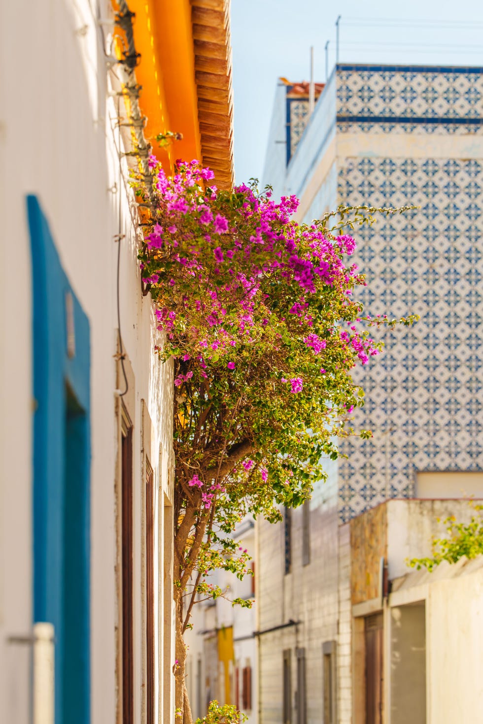 La buganvillea rosa aggiunge fascino a un vicolo soleggiato fiancheggiato da tradizionali edifici piastrellati e imbiancati.
