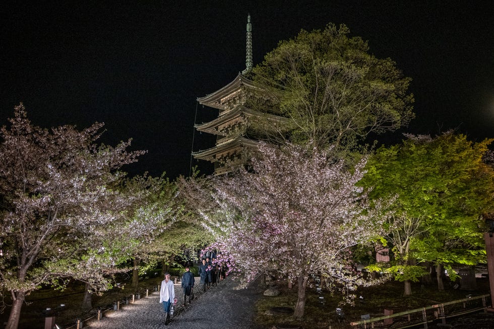 topshot models present creations by dior for its fall 2025 collection fashion show in kyoto's toji temple on april 15, 2025. (photo by philip fong / afp) (photo by philip fong/afp via getty images) 