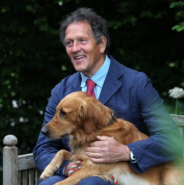 gardner monty don poses with his dog ned, a golden retreiver, in his dog friendly garden, during the preview day at the rhs chelsea flower show, in london, on may 19, 2025. sweet potatoes sprouting among flowers, talking trees powered by ai and drought resistant crops, the prestigious chelsea flower show is facing the future focusing on innovation and climate change adaptation. (photo by adrian dennis / afp) gardner monty don poses with his dog ned, a golden retreiver, in his dog friendly garden, during the preview day at the rhs chelsea flower show, in london, on may 19, 2025. sweet potatoes sprouting among flowers, talking trees powered by ai and drought resistant crops, the prestigious chelsea flower show is facing the future focusing on innovation and climate change adaptation. (photo by adrian dennis / afp)