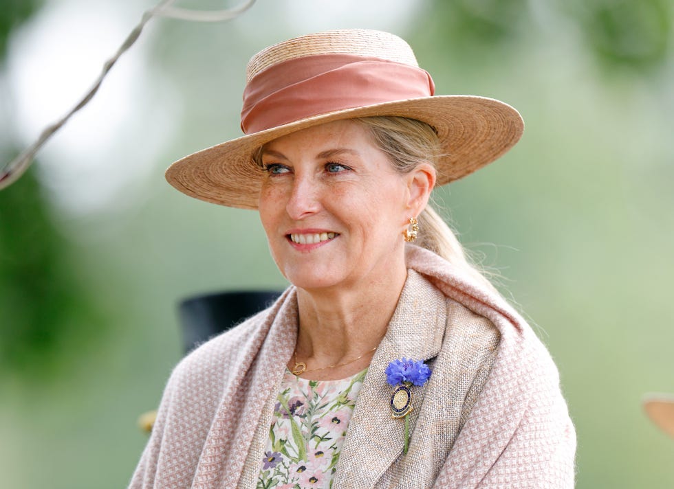 windsor, united kingdom may 18: (embargoed for publication in uk newspapers until 24 hours after create date and time) sophie, duchess of edinburgh takes part in the 'pol roger meet of the british driving society' carriage driving parade on day 4 of the royal windsor horse show in home park, windsor castle on may 18, 2025 in windsor, england. (photo by max mumby/indigo/getty images)